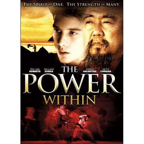 POWER WITHIN - DVD