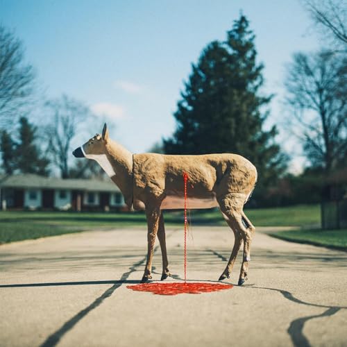 WAYNE GRAHAM - BASTION (CD)