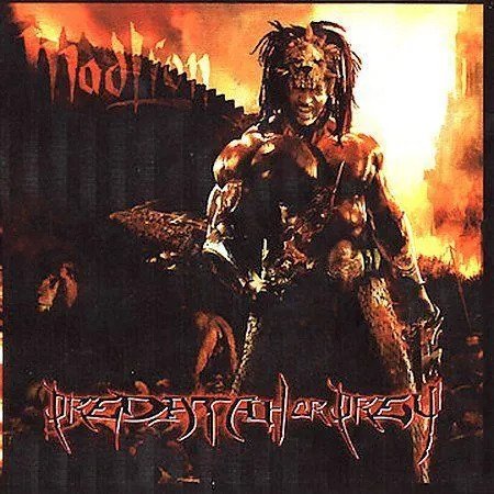 MAD LION - PREDATAH OR PREY