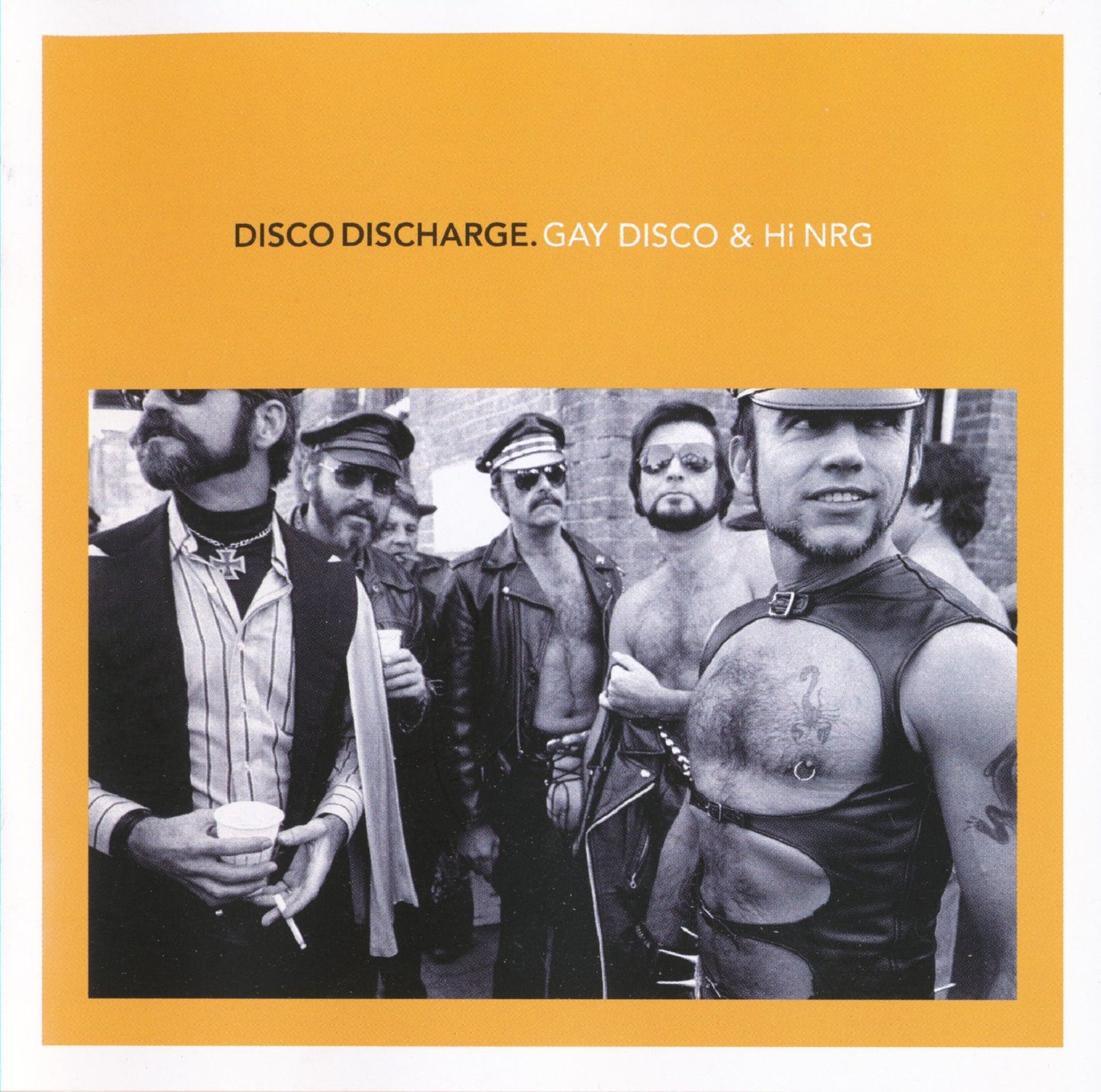 VARIOUS - DISCO DISCHARGE: GAY DISCO