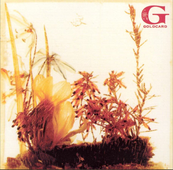 GOLDCARD - ST