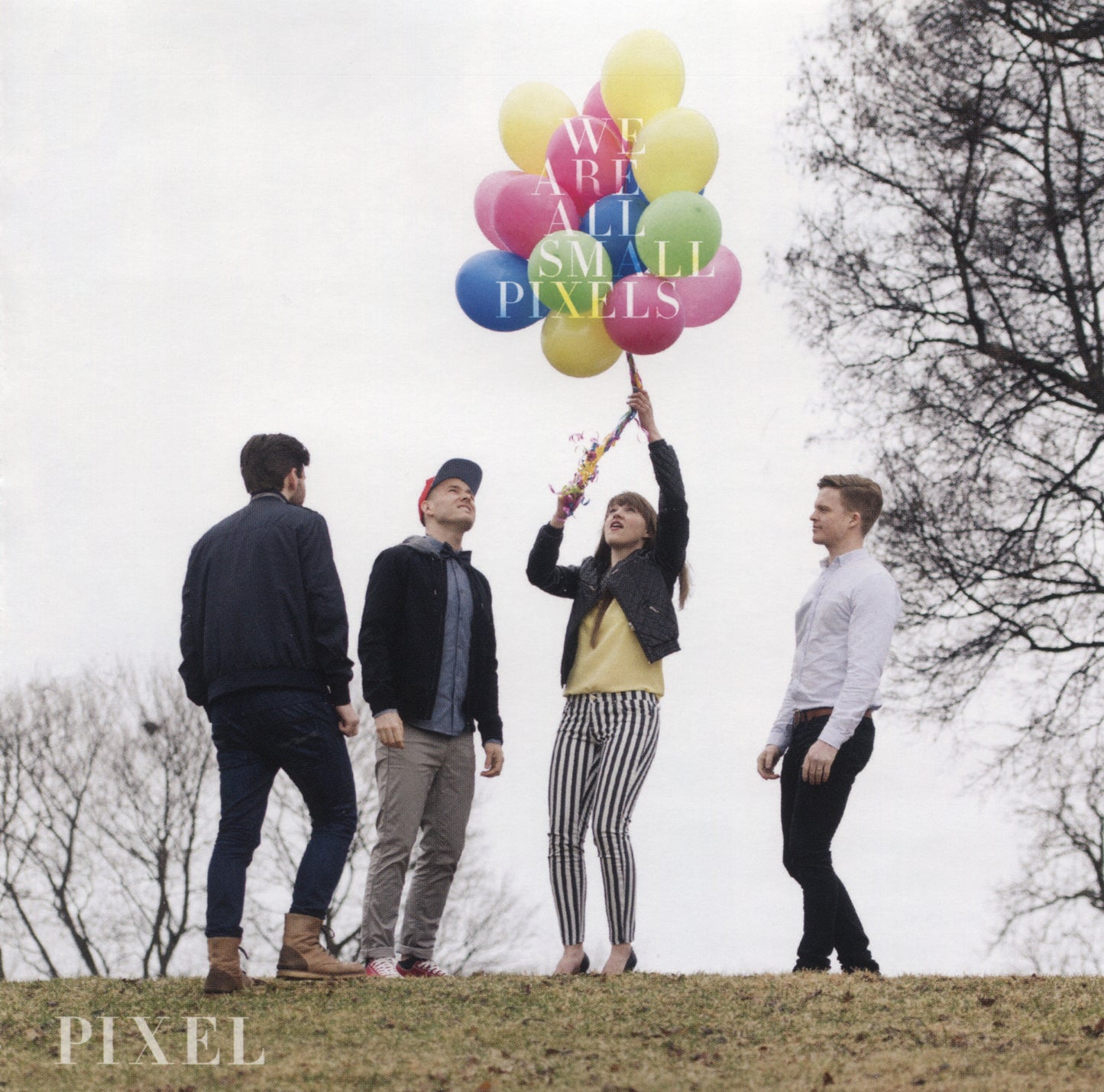 PIXEL - WE ARE ALL SMALL PIXELS