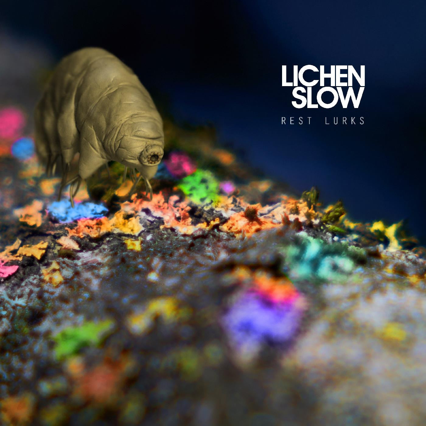 LICHEN SLOW - REST LURKS (ORANGE VINYL)