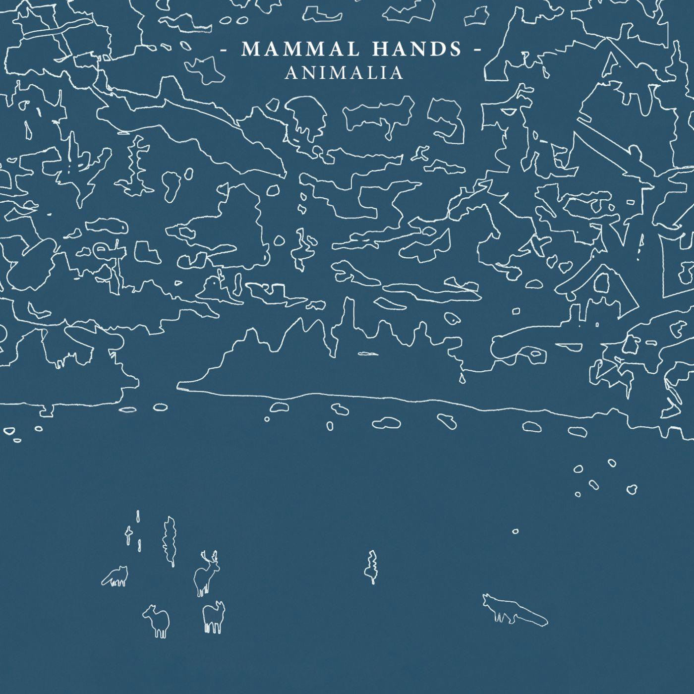 MAMMAL HANDS - ANIMALIA