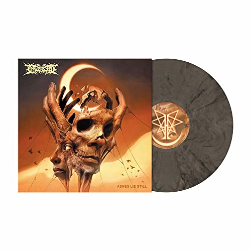 INGESTED - ASHES LIE STILL (VINYL)