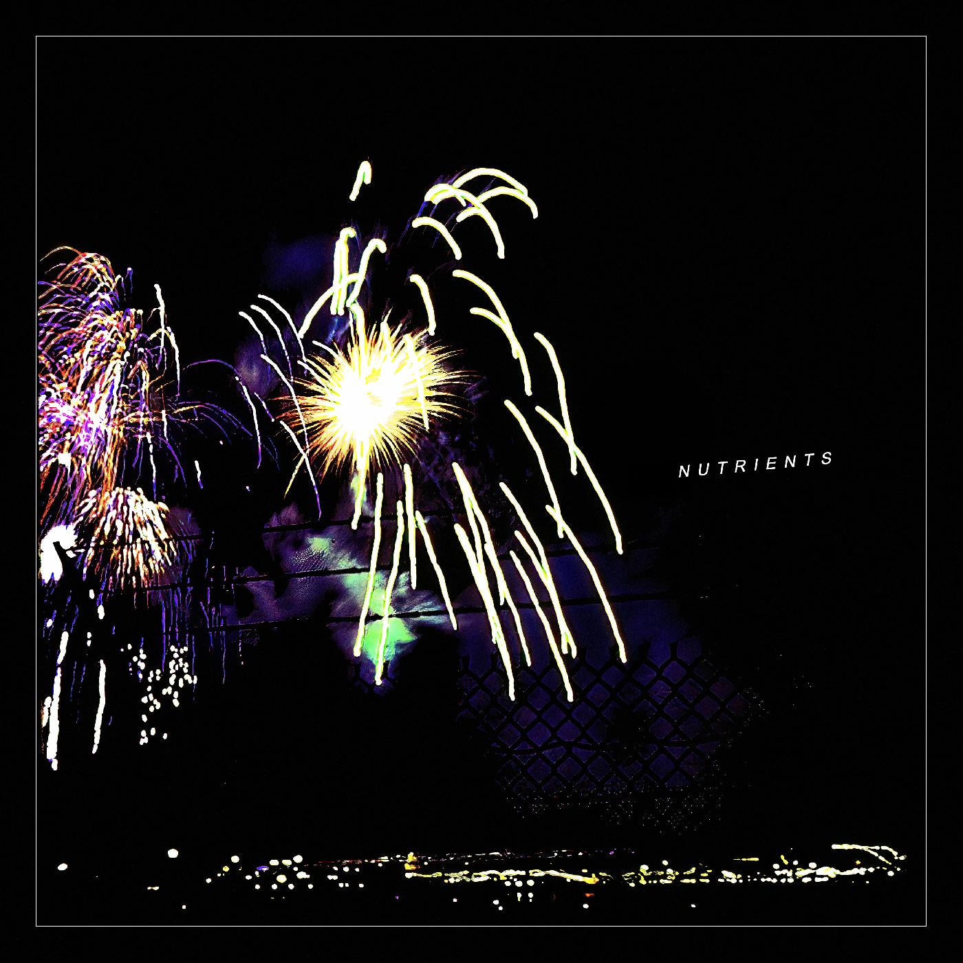 NUTRIENTS - DIFFERENT BRIDGES