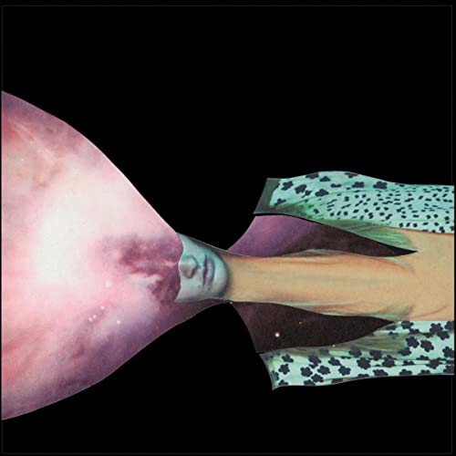 PAINTED SHIELD - PAINTED SHIELD 2 (CD)