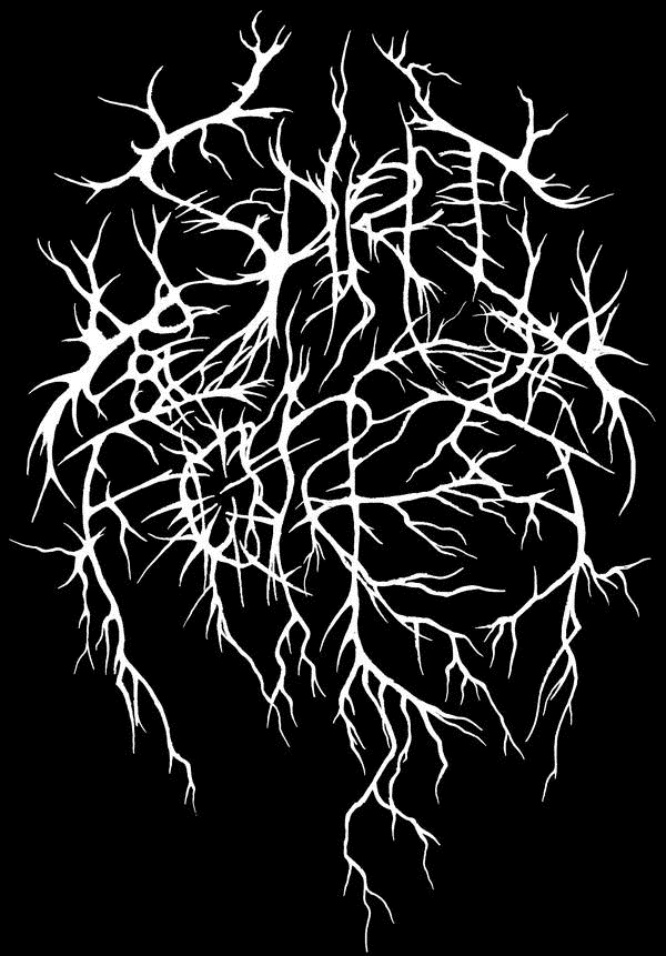 SPIRIT OF THE FOREST - A BREW OF LIGHTNING