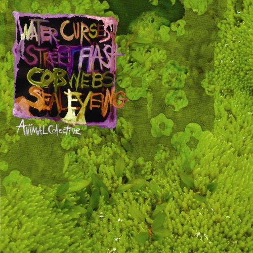 ANIMAL COLLECTIVE - WATER CURSES