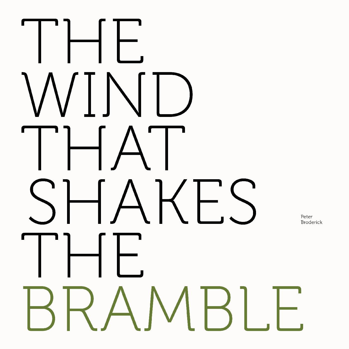 BRODERICK, PETER - THE WIND THAT SHAKES THE BRAMBLE (INDIE EXCLUSIVE)