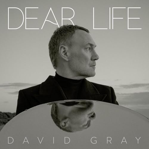 DAVID GRAY - DEAR LIFE (VINYL)