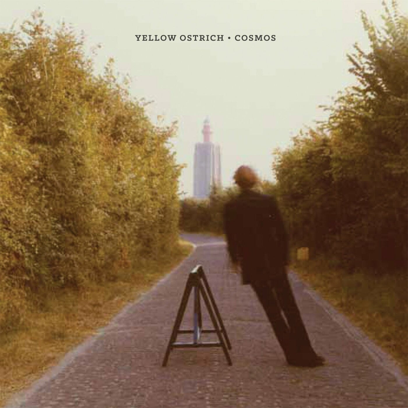 YELLOW OSTRICH - COSMOS