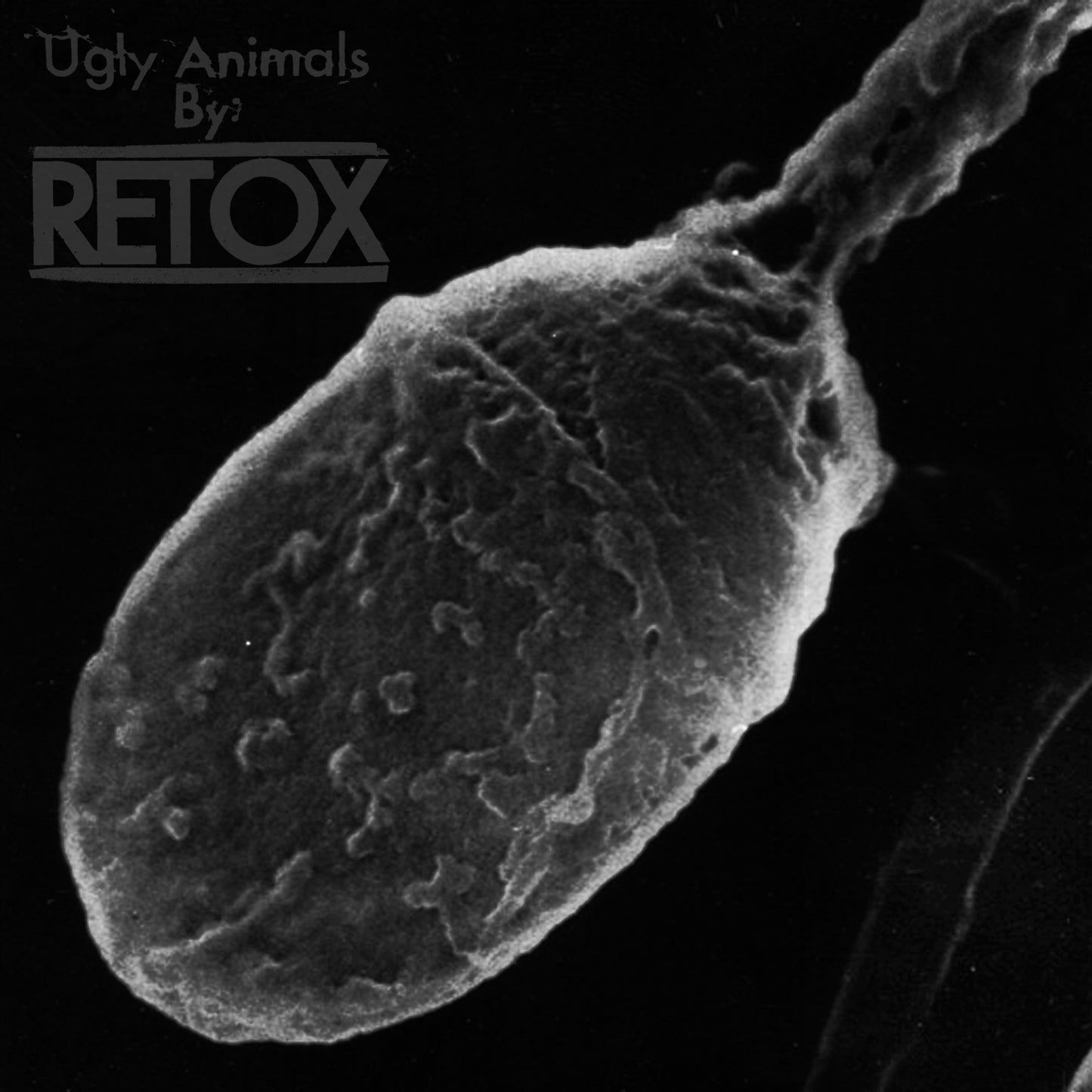 RETOX - UGLY ANIMALS