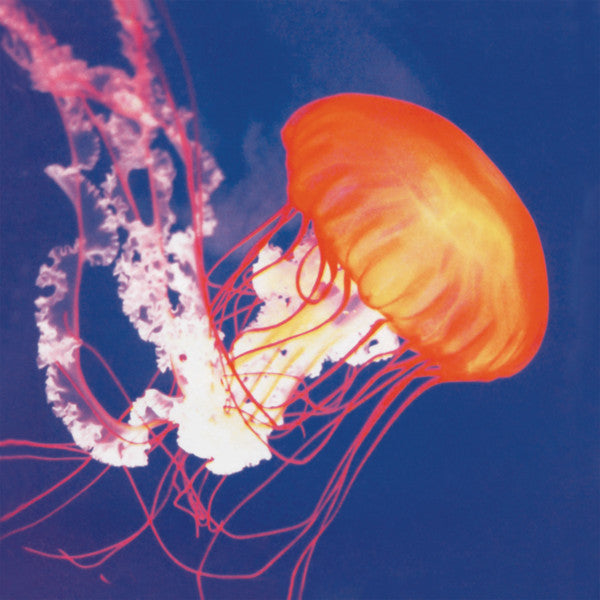 OLIVEROS, PAULINE - PRIMORDIAL LIFT