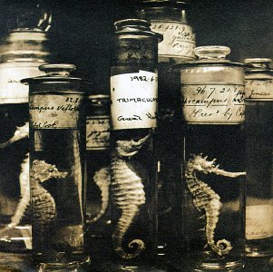 VARIOUS ARTISTS - RARE ON AIR 2: KCRW PERFORMANCES