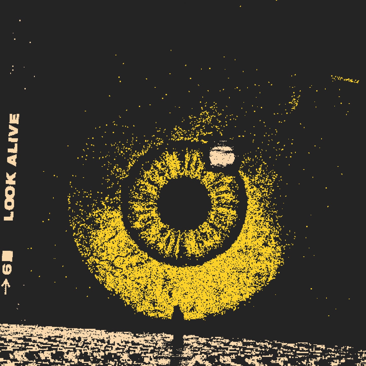 BLACK PISTOL FIRE - LOOK ALIVE