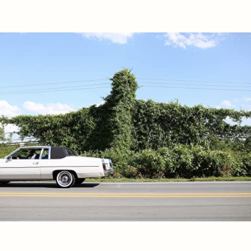 CORY BRANAN - WHEN I GO I GHOST (VINYL)