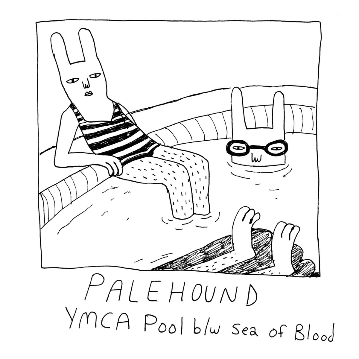 PALEHOUND - YMCA POOL