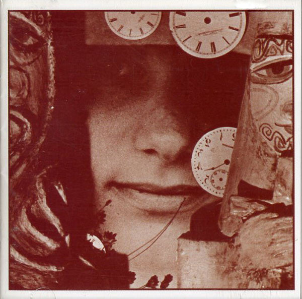 FRIEDMAN, RUTHANN - A HURRIED LIFE