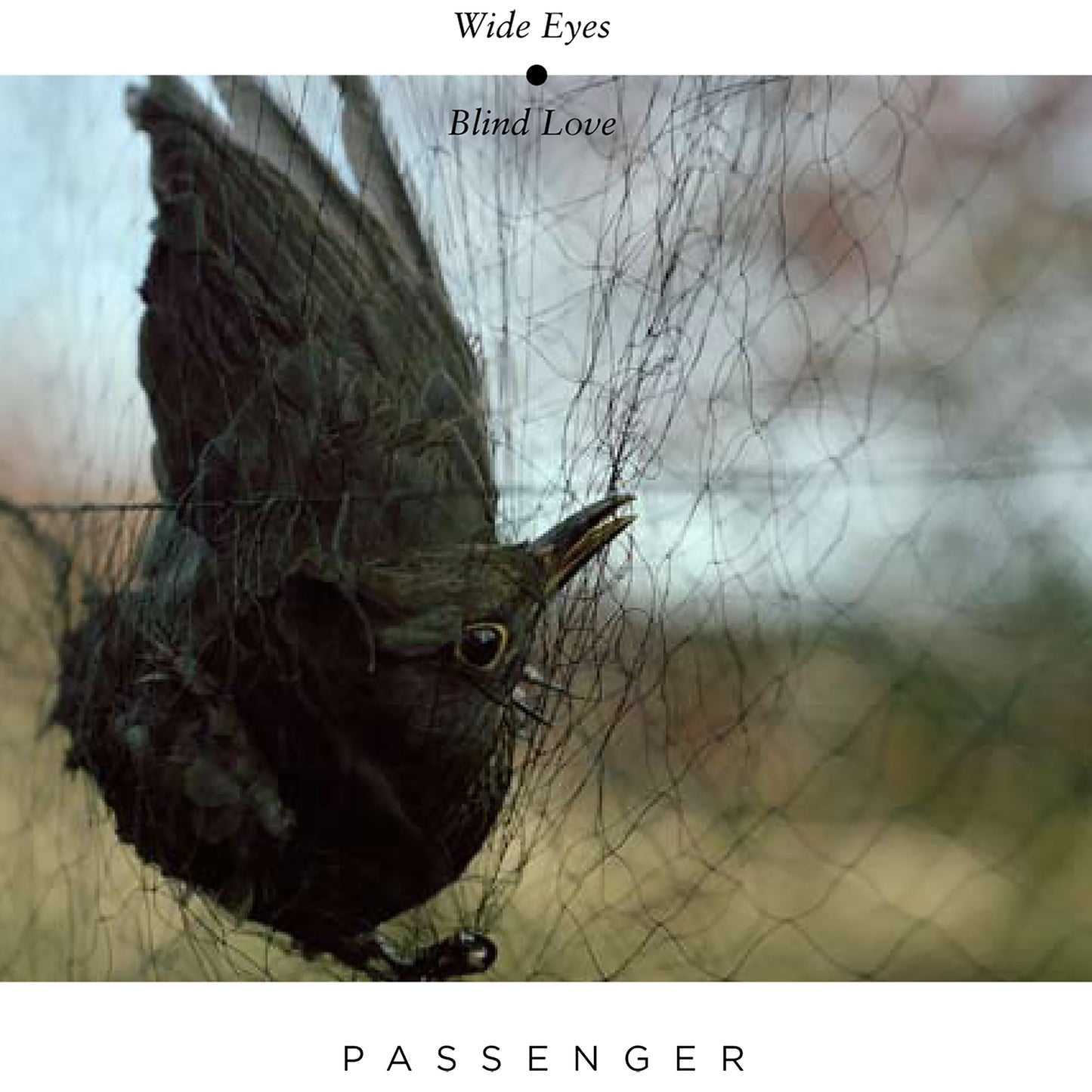 PASSENGER - WIDE EYES BLIND LOVE
