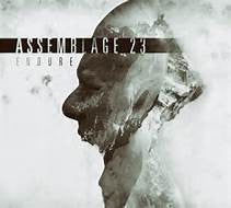 ASSEMBLAGE 23 - ENDURE (2CDS)(DLX)