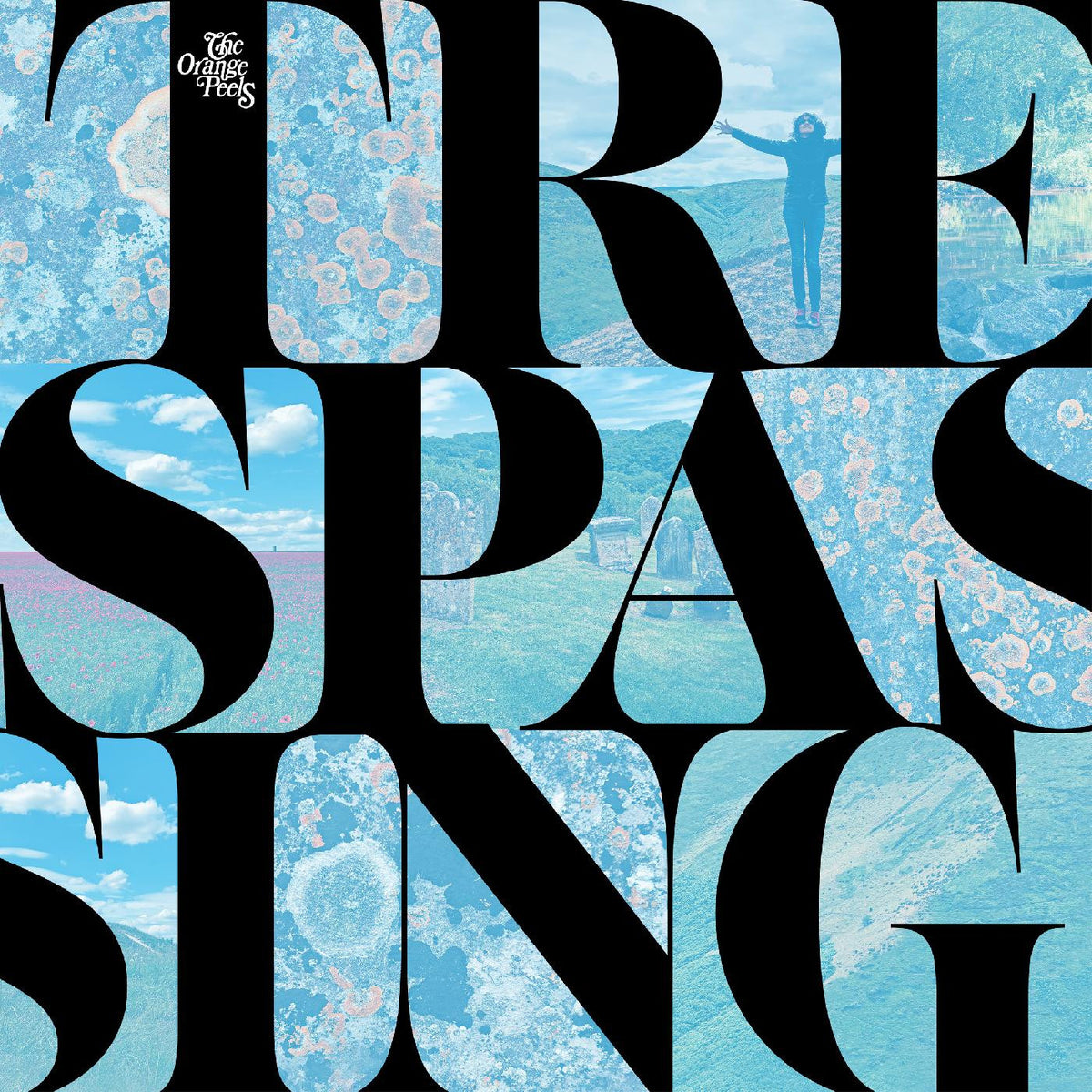 ORANGE PEELS, THE - TRESPASSING