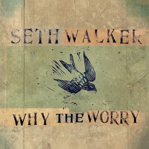 SETH WALKER - WHY THE WORRY (VINYL)