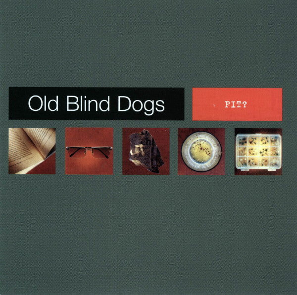 OLD BLIND DOGS - FIT? (SCOTLAND)