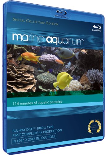 MARINE AQUARIUM - BLU