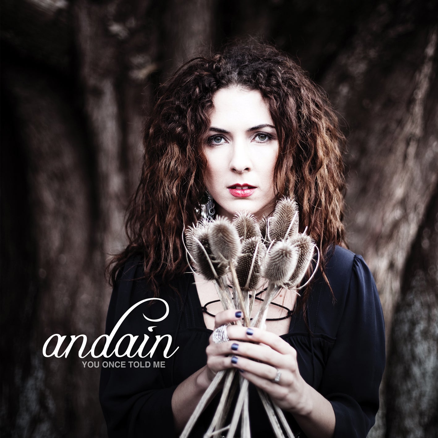 ANDAIN - YOU ONCE TOLD ME