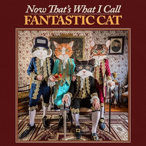 FANTASTIC CAT - NOW THAT'S WHAT I CALL FANTASTIC CAT (VINYL)