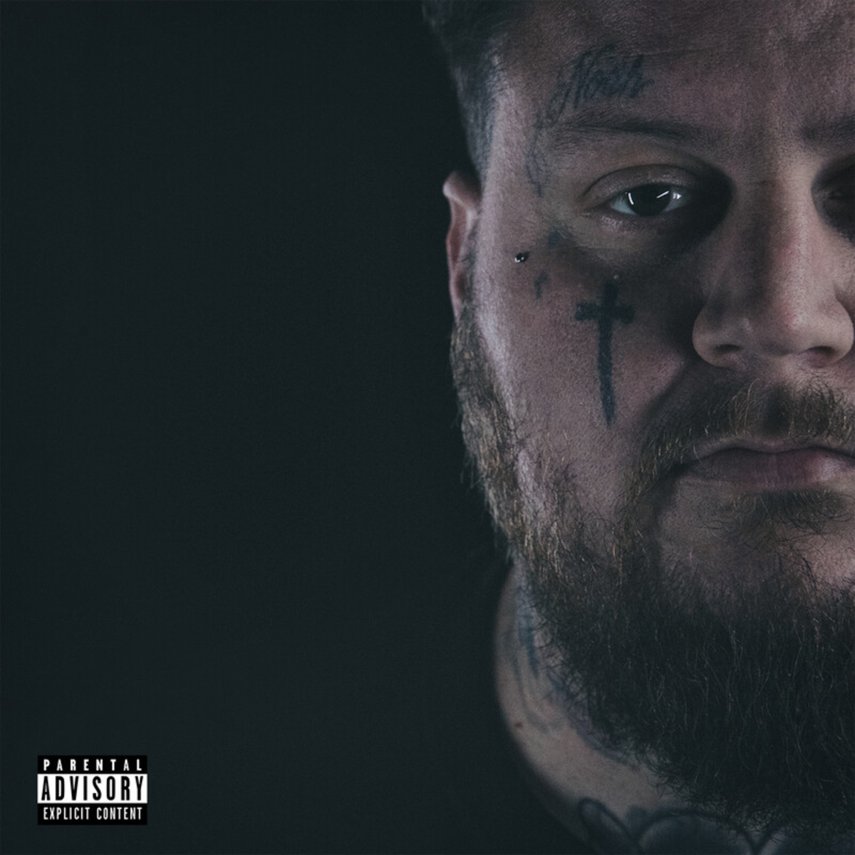 JELLY ROLL - A BEAUTIFUL DISASTER