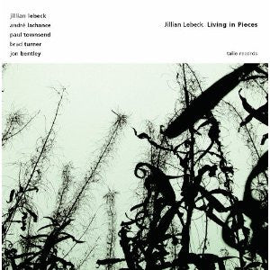 LEBECK, JILLIAN - LIVING IN PIECES
