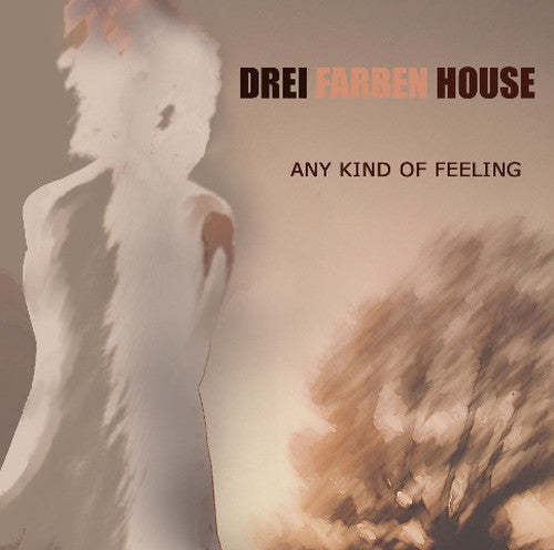 DREI FARBEN HOUSE - ANY KIND OF FEELING