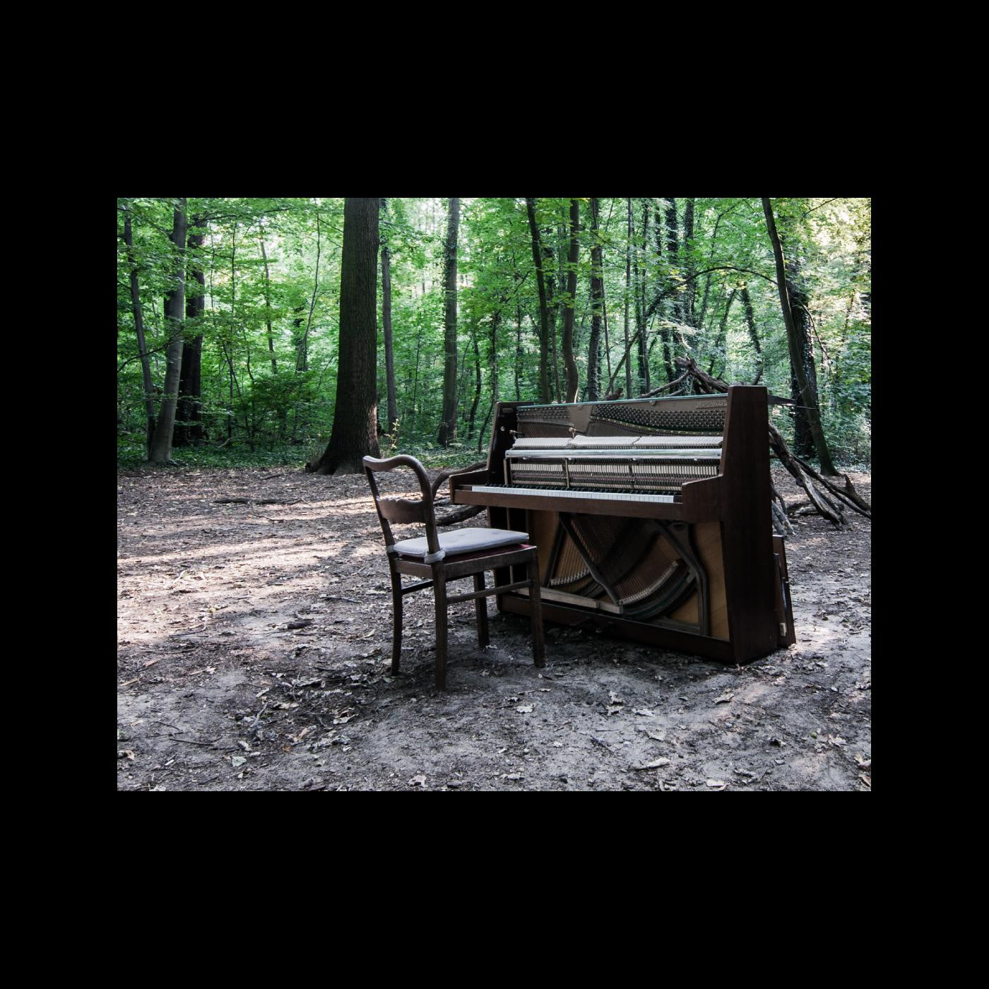 EYE OF TIME, THE - ACOUSTIC II
