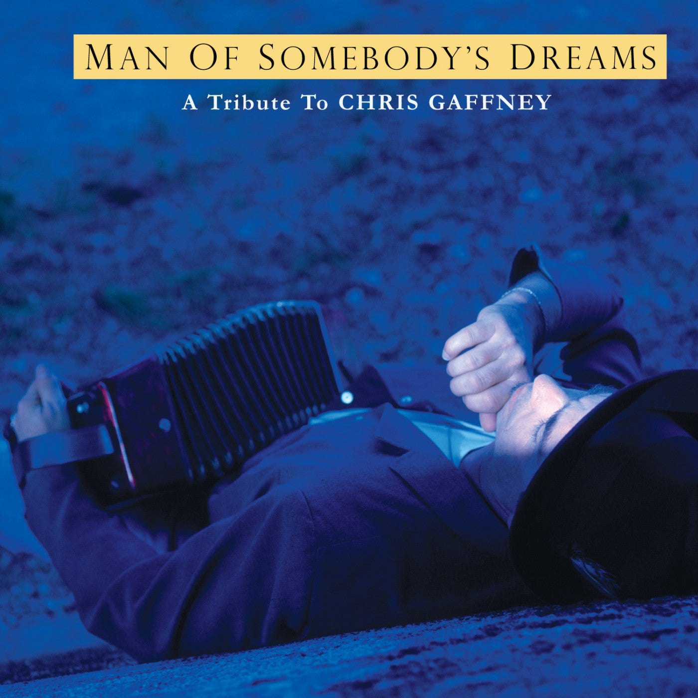 ALVIN, DAVE & VARIOUS ARTISTS - CHRIS GAFFNEY TRIBUTE: THE MAN OF SOMEBODY'S DREAMS