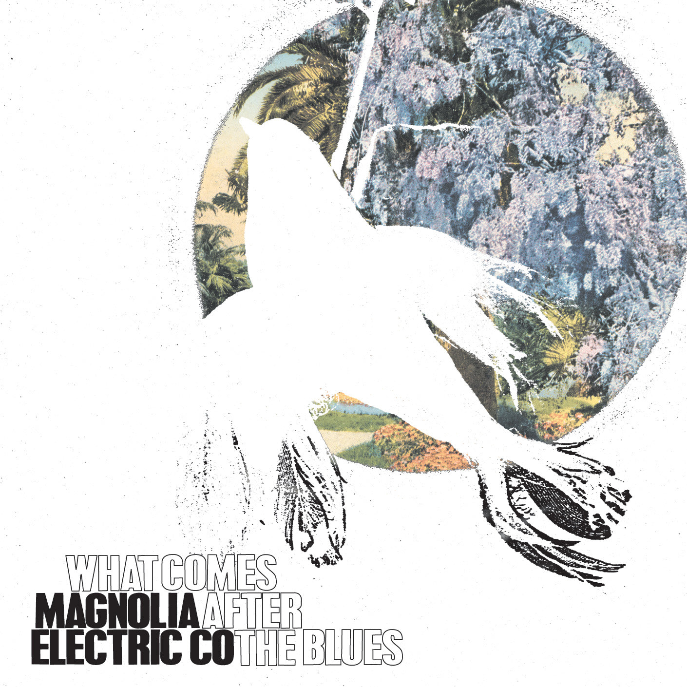 MAGNOLIA ELECTRIC CO. - WHAT COMES AFTER THE BLUES