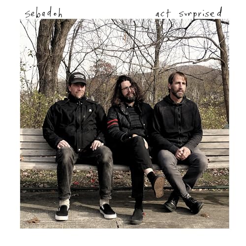 SEBADOH - ACT SURPRISED (CD)