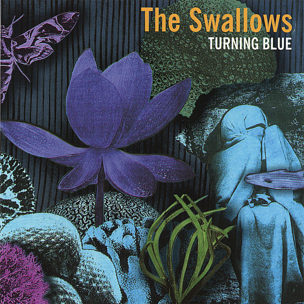 SWALLOWS - TURNING BLUE