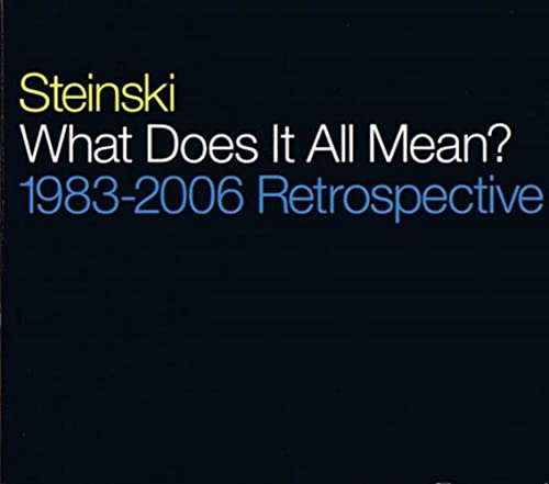 STEINSKI - WHAT DOES IT ALL MEAN 1983-2006