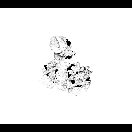ANNA WEBBER AND MATT MITCHELL - CAPACIOUS AERATION (CD)