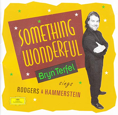 TERFEL, BRYN - SOMETHING WONDERFUL-SINGS RODGERS & HAMM