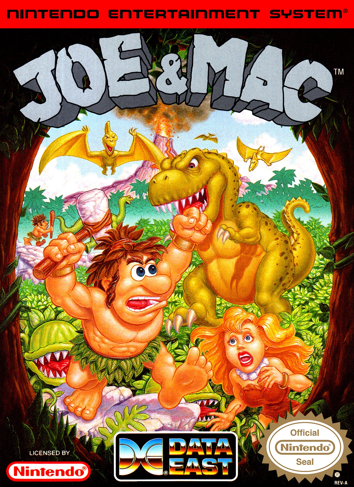 JOE & MAC - SNES (W/BOX)