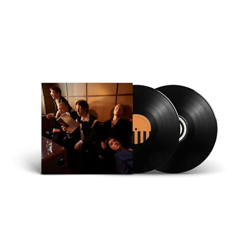 GIANT ROOKS - HOW HAVE YOU BEEN? (VINYL)