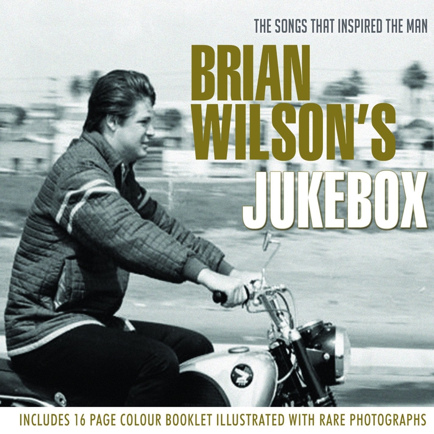 VARIOUS - BRIAN WILSON'S JUKEBOX