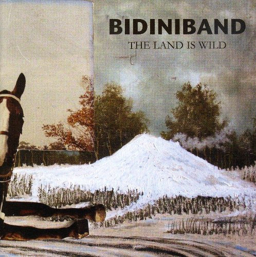 BIDINIBAND - LAND IS WILD