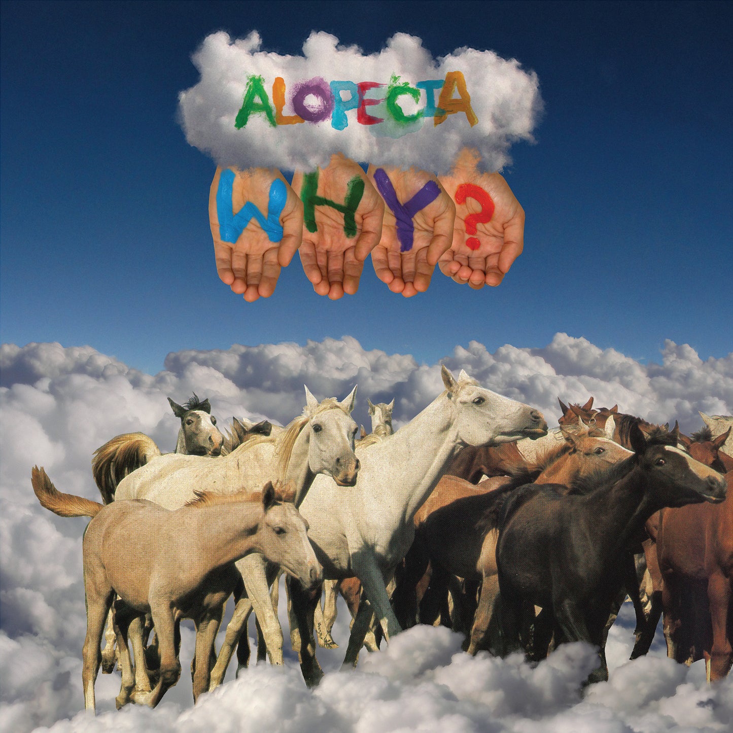WHY? - ALOPECIA