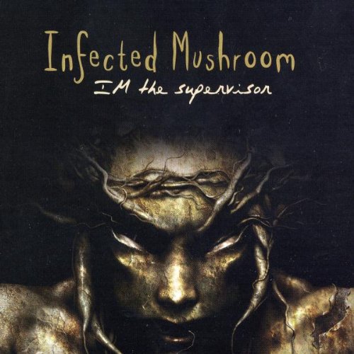 INFECTED MUSHROOM - IM THE SUPERVISOR