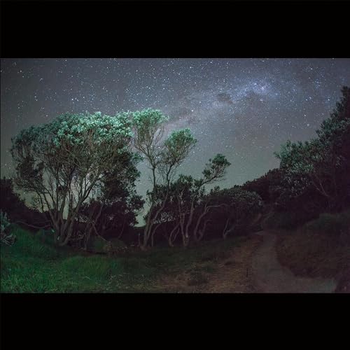 ESBEN AND THE WITCH - OLDER TERRORS (CD)