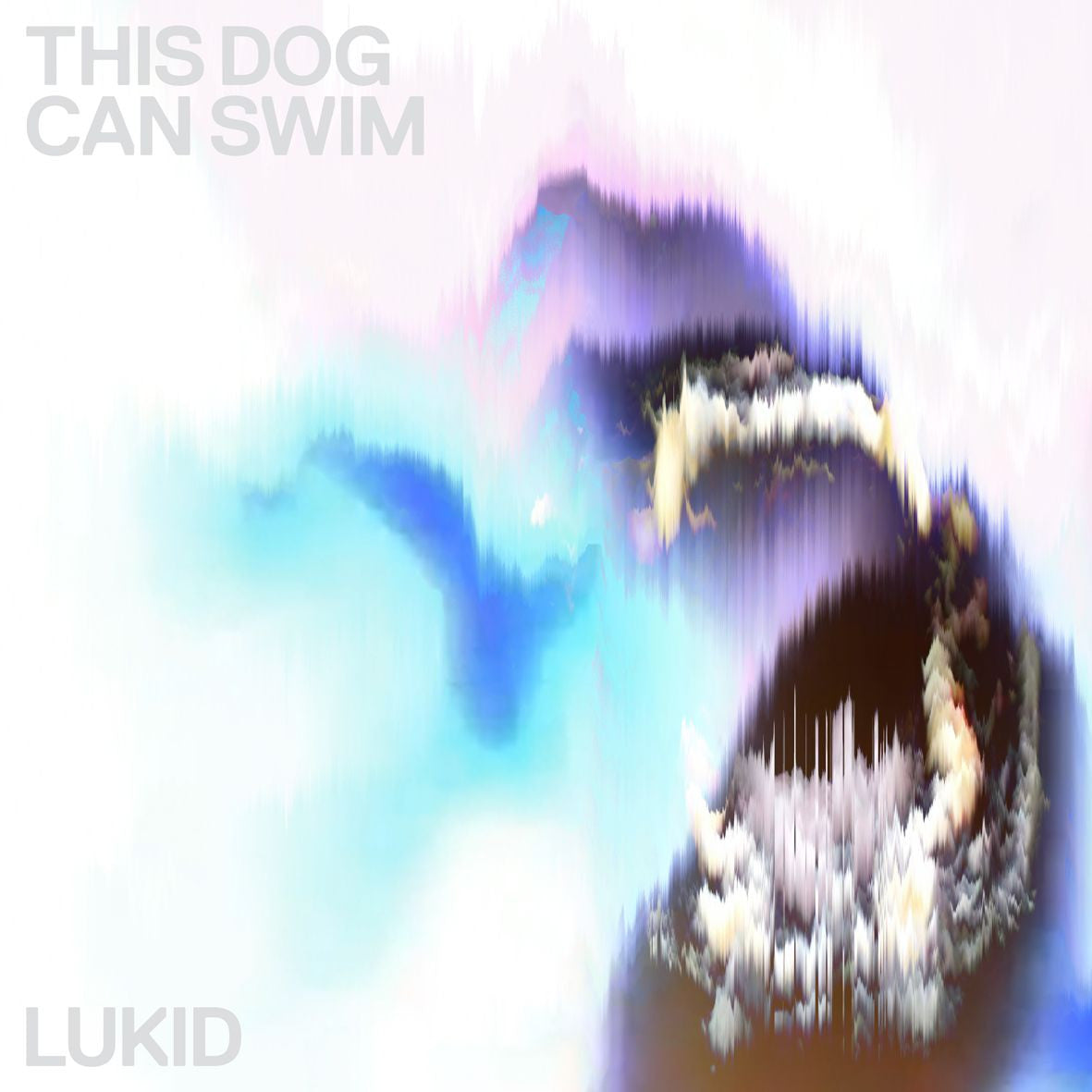 LUKID - THIS DOG CAN SWIM 12"